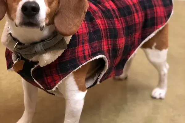 Buckley loving his coat