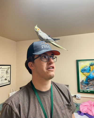 bird on staff's head